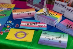 CSD Bonn 2025 - Beethovens Bunte (88)